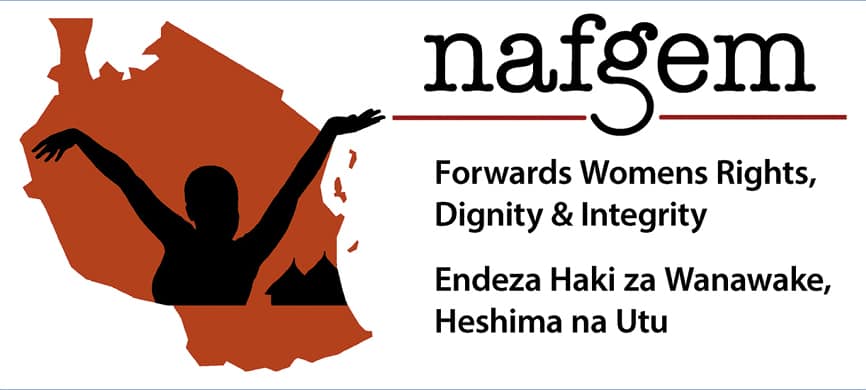 Logo NAFGEM